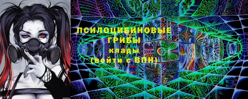 Псилоцибиновые грибы MAGIC MUSHROOMS  как найти закладки  нарко площадка официальный сайт  Красноармейск 