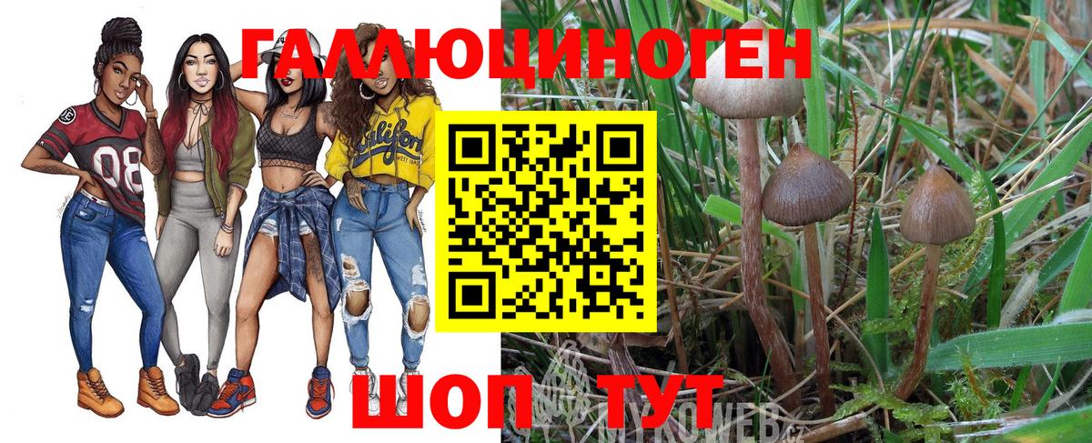 Меф  LSD-25  Вход с VPN  A-PVP  Красноармейск  Метамфетамин  COCAIN  Гашик  Бошки Шишки  Ешки 